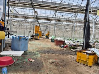 늘햇살팜 님의 기타작물 · 영농일지 작성글 사진