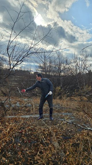 정규환님의 감 · 영농일지 작성글 사진