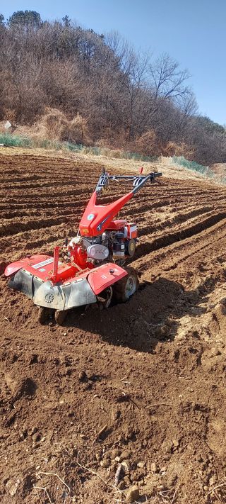 고병길님의 감자 · 영농일지 작성글 사진