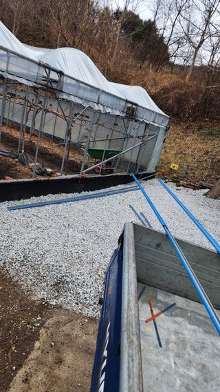 김동원님의 포도 · 영농일지 작성글 사진