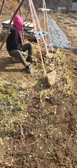 팜모닝 기타작물·영농일지 게시글 이미지