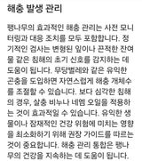 팜모닝 기타작물·영농일지 게시글 이미지