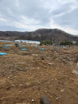 팜모닝 감자·영농일지 게시글 이미지