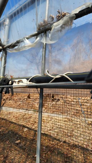 김동원님의 포도 · 영농일지 작성글 사진