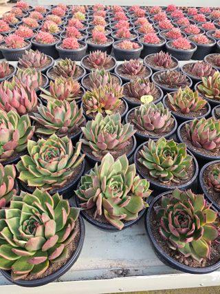 신상섭님의 작성글 사진