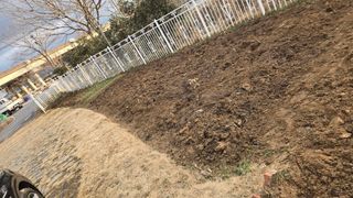 윤두현님의 기타작물 · 영농일지 작성글 사진