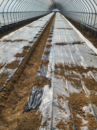 김저팔계님의 기타작물 · 영농일지 작성글 사진