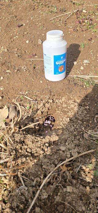 돌복숭아님의 기타작물 · 영농일지 작성글 사진