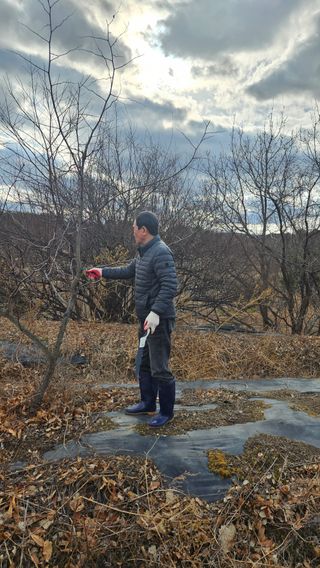 정규환님의 감 · 영농일지 작성글 사진