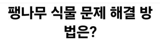 (팽나무*공주)님의 기타작물 · 영농일지 작성글 사진