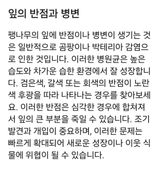 팜모닝 기타작물·영농일지 게시글 이미지