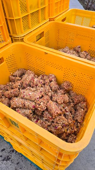 축복의땅 에덴동산님의 사과 · 영농일지 작성글 사진