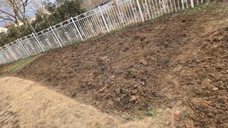 윤두현님의 기타작물 · 영농일지 작성글 사진