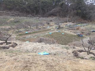 장흥식님의 파 · 영농일지 작성글 사진