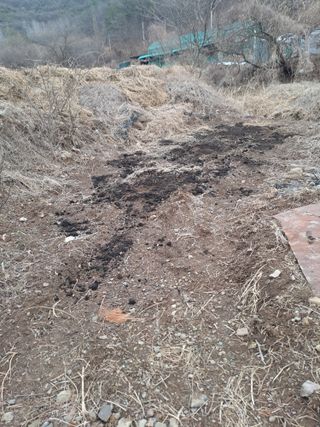 손정식님의 기타작물 · 영농일지 작성글 사진