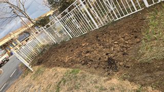 윤두현님의 기타작물 · 영농일지 작성글 사진