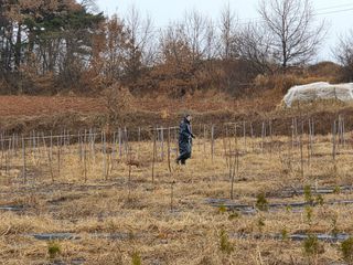 들깨19419님의 기타작물 · 영농일지 작성글 사진