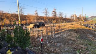 늘푸른 농장주님의 기타작물 · 영농일지 작성글 사진