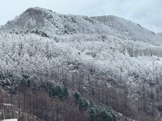 이익수님의 기타작물 · 영농일지 작성글 사진