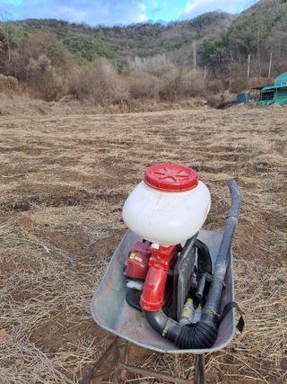 손정식님의 기타작물 · 영농일지 작성글 사진