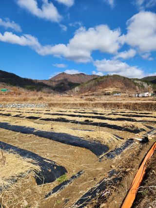 최병정 님의 감 · 영농일지 작성글 사진