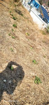 박종화님의 작성글 사진