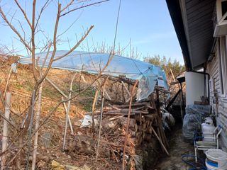 최낙원님의 포도 · 영농일지 작성글 사진