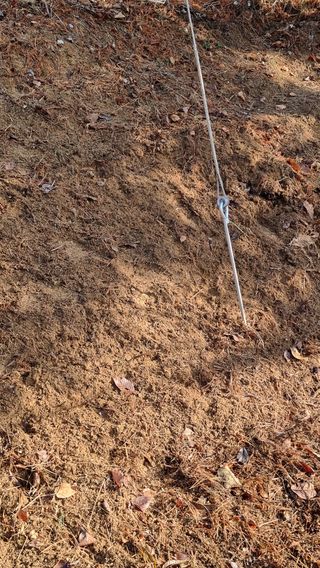 권혁렬님의 기타작물 · 영농일지 작성글 사진