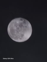 팜모닝 기타작물·영농일지 게시글 이미지