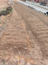 팜모닝 상추·영농일지 게시글 이미지