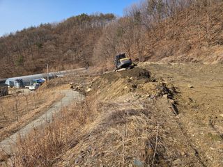 윤자용11대임후회장님의 고추 · 영농일지 작성글 사진