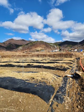 최병정 님의 감 · 영농일지 작성글 사진