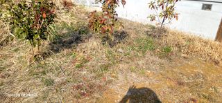 박종화님의 기타작물 · 영농일지 작성글 사진