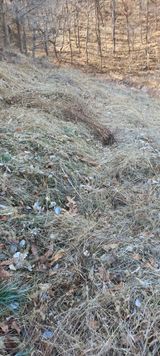 팜모닝 두릅·영농일지 게시글 이미지