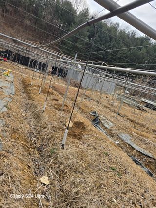 김종협님의 기타작물 · 영농일지 작성글 사진