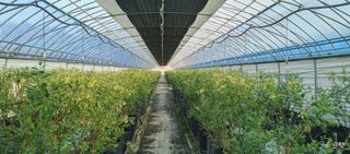 류근택님의 기타작물 · 영농일지 작성글 사진