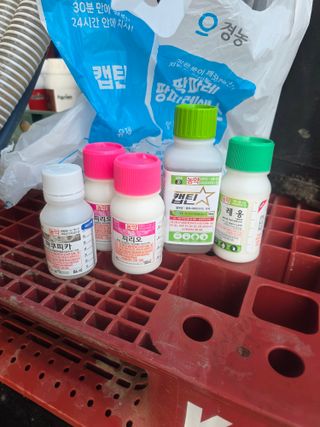 님의 딸기 · 영농일지 작성글 사진