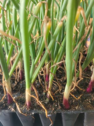 알렉산더님의 작성글 사진