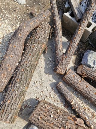 !정의규님의 기타작물 · 영농일지 작성글 사진