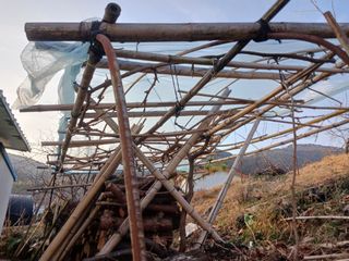 최낙원님의 포도 · 영농일지 작성글 사진