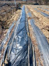 팜모닝 기타작물·영농일지 게시글 이미지