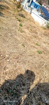 박종화님의 작성글 사진