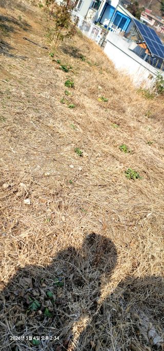 박종화님의 기타작물 · 영농일지 작성글 사진