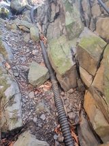 팜모닝 기타작물·영농일지 게시글 이미지