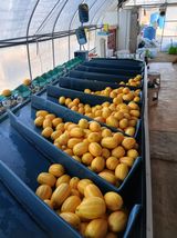 조영임님의 작성글 사진