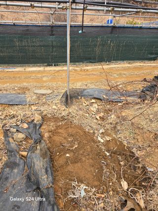 김종협님의 기타작물 · 영농일지 작성글 사진