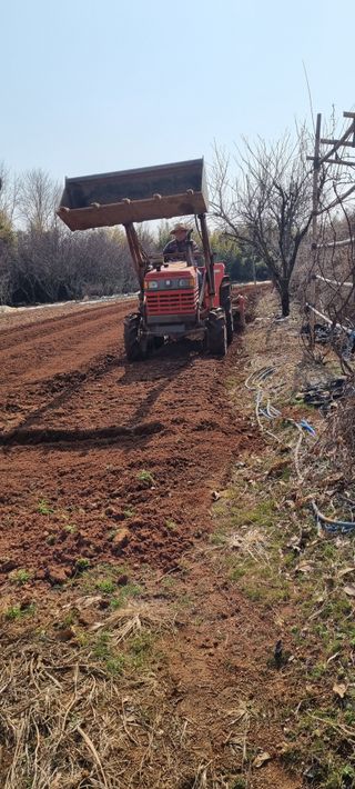 지용환님의 기타작물 · 영농일지 작성글 사진