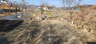 김순섭님의 기타작물 · 영농일지 작성글 사진