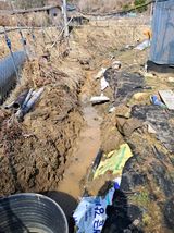 팜모닝 기타작물·영농일지 게시글 이미지