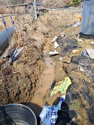 표고버섯18837님의 기타작물 · 영농일지 작성글 사진